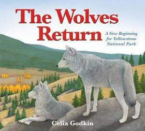 The Wolves Return: A New Beginning for Yellowstone National Park by Celia Godkin