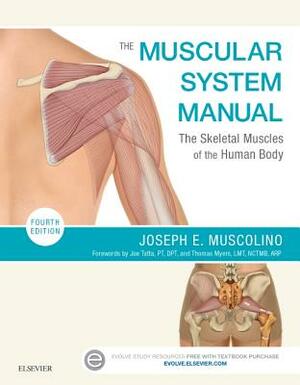 The Muscular System Manual: The Skeletal Muscles of the Human Body by Joseph E. Muscolino