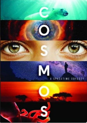 Cosmos: A Spacetime Odyssey by Neil deGrasse Tyson, Ann Druyan, Steven Soter