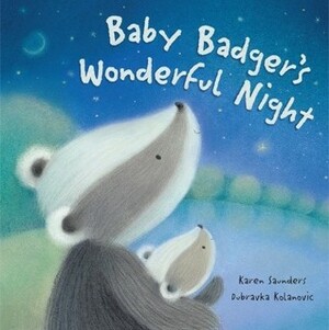 Baby Badger's Wonderful Night by Dubravka Kolanovic, Karen Saunders