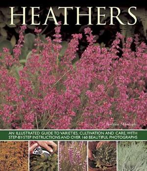 Heathers: An Illustrated Guide to Varieties, Cultivation and Care, with Wtep-By-Step Instructions and Over 160 Beautiful Photogr by Andrew Mikolajski