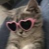 danykareads's profile picture