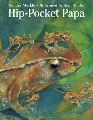 Hip-Pocket Papa by Sandra Markle, Alan Marks