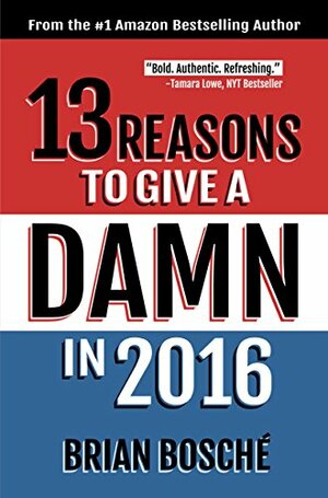 13 Reasons To Give A Damn In 2016: Moving America From Divided To United by Brian Bosché