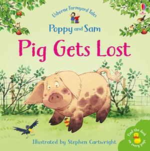 Pig Gets Lost by Jenny Tyler, Heather Amery