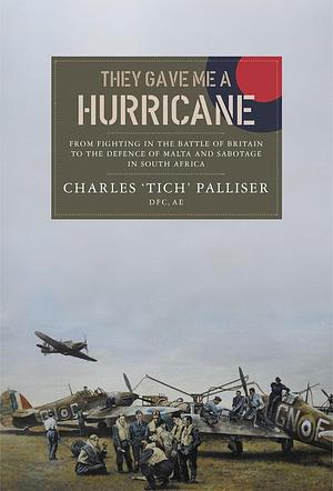 They Gave Me a Hurricane by Charles Palliser