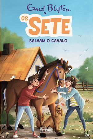 Os Sete Salvam o Cavalo by Enid Blyton