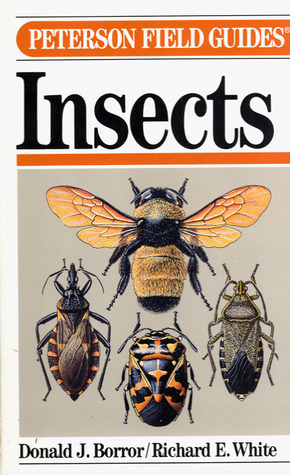 A Field Guide to the Insects:America North of Mexico by Richard E. White, Donald J. Borror