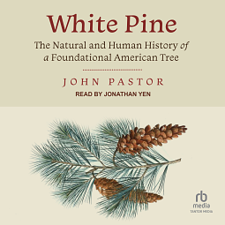 White Pine: The Natural and Human History of a Foundational American Tree by John Pastor