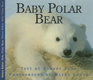 Baby Polar Bear by Aubrey Lang, Wayne Lynch