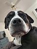 oolymee's profile picture