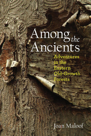 Among the Ancients: Adventures in the Eastern Old-Growth Forests by Joan Maloof