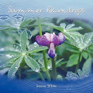 Summer Raindrops by Jeanne White