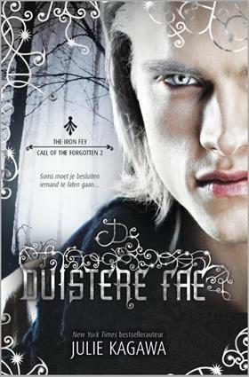 De duistere fae by Julie Kagawa, Angelique Verheijen