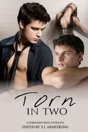 Torn In Two by Lee Cairney, S.L. Armstrong, G.S. Wiley, Kelly Rand