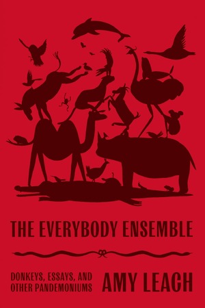 The Everybody Ensemble: Donkeys, Essays, and Other Pandemoniums by Amy Leach