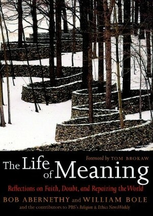 The Life of Meaning: Reflections on Faith, Doubt, and Repairing the World by Bob Abernethy