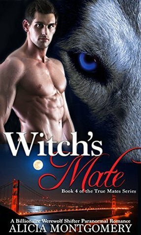 Witch's Mate by Alicia Montgomery