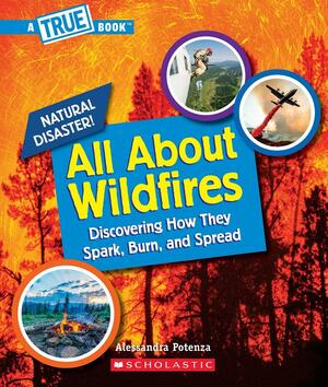 All about Wildfires by Alessandra Potenza