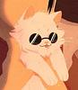 trystainacastle's profile picture