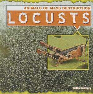 Locusts by Caitie McAneney