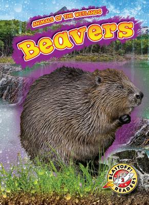 Beavers by Rachel Grack