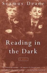 Reading in the Dark by Seamus Deane