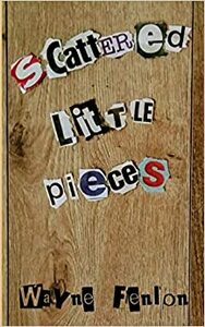 Scattered Little Pieces by Wayne Fenlon