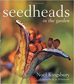 Seedheads in the Garden by Noël Kingsbury