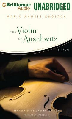 The Violin of Auschwitz by Maria Angels Anglada