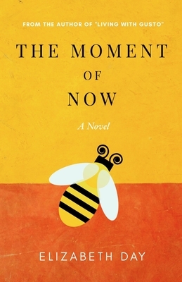 The Moment of Now by Elizabeth Day