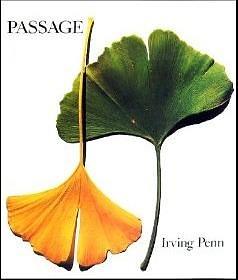 Passage: A Work Record by Alexandra Arrowsmith, Nicola Majocchi, Irving Penn, Irving Penn