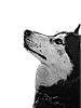 eduardfont's profile picture