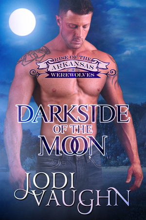 Darkside of the Moon by Jodi Vaughn