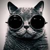 mycatastrophe's profile picture
