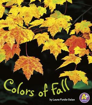 Colors of Fall by Laura Purdie Salas