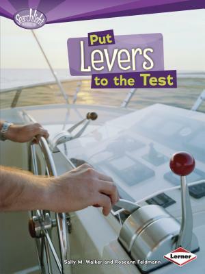 Put Levers to the Test by Sally M. Walker, Roseann Feldmann