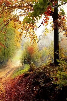 Trail Through the Wood: Some Trails Are Single Use and Can Only Be Used for Walking, Cycling, Horse Riding, Snowshoeing, or Cross-Country Skii by Planners and Journals