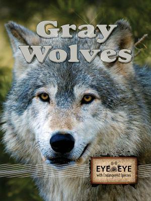Gray Wolves by Don McLeese