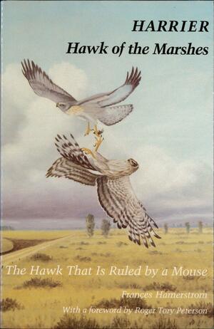 HARRIER HAWK OF MARSHES PB by Frances Hamerstrom