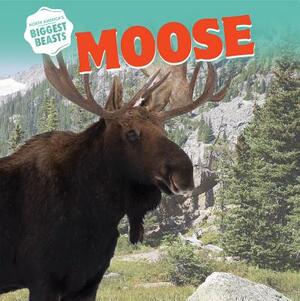 Moose by Amy B. Rogers