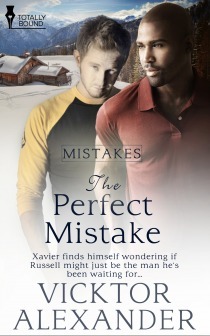 The Perfect Mistake by Vicktor Alexander