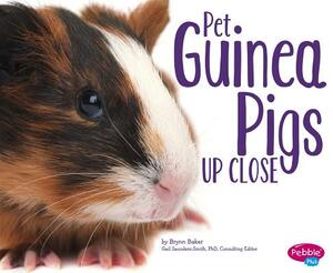 Pet Guinea Pigs Up Close by Brynn Baker