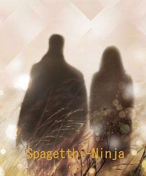 Spagetthi-Ninja by Jennifer L. Armentrout