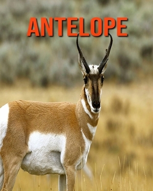 Antelope: Learn About Antelope and Enjoy Colorful Pictures by Diane Jackson