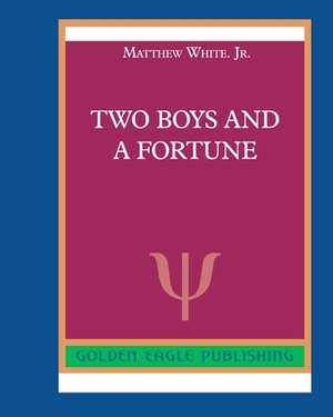 Two Boys and a Fortune by Matthew White