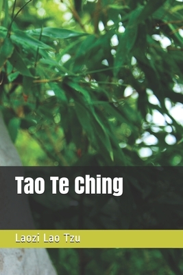 Tao Te Ching by Laozi Lao Tzu