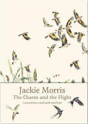 The Charm and the Flight Concertina Card by Jackie Morris