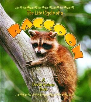 The Life Cycle of a Raccoon by Bobbie Crossingham Kalman