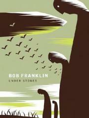Under Stones by Bob Franklin